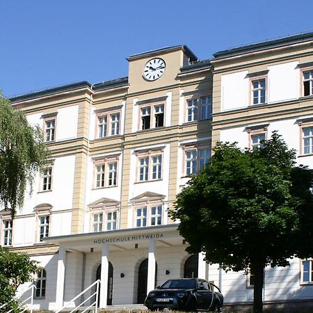 Apartment Tenx מיטוויידה מראה חיצוני תמונה